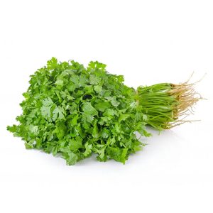 Coriander