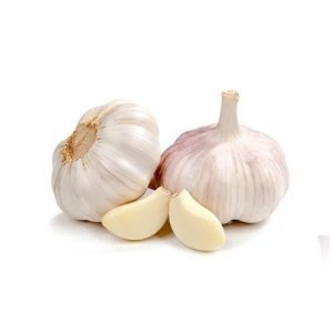 Garlics